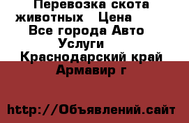 Перевозка скота животных › Цена ­ 39 - Все города Авто » Услуги   . Краснодарский край,Армавир г.